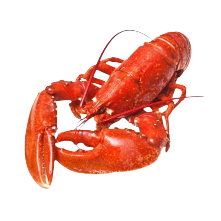 Tôm Hùm Đất Chín