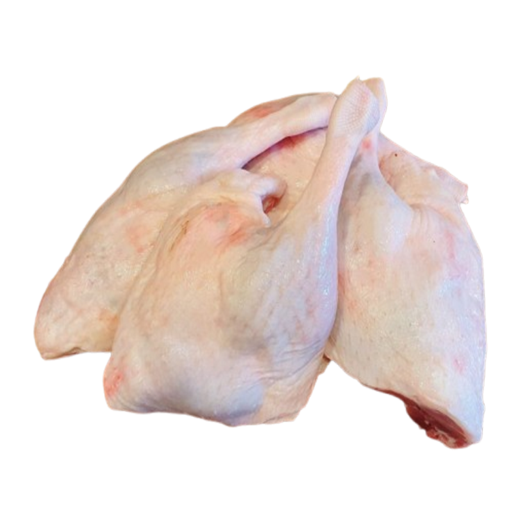 Đùi Vịt Góc Tư