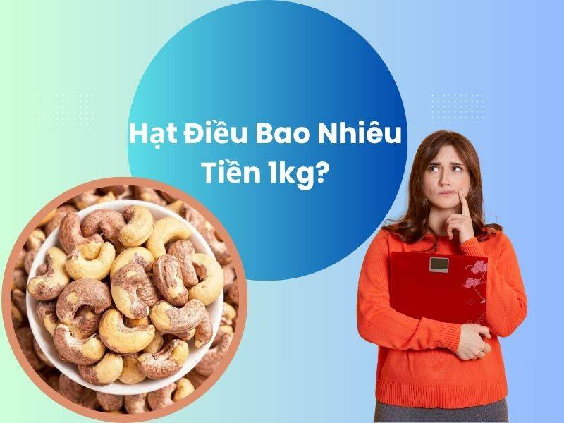 Hạt điều bao nhiêu tiền 1kg? Giá hạt điều mới nhất hôm nay