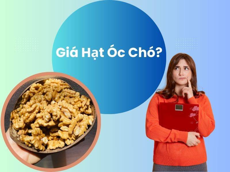 Giá hạt óc chó bao tiền 1kg? Bảng giá hạt óc chó mới nhất