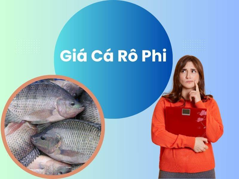 Bảng giá cá rô phi mới nhất ngày hôm nay Cập nhật 24/24