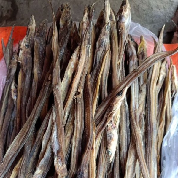 Khô cá lìm kìm, chất lượng tươi sống