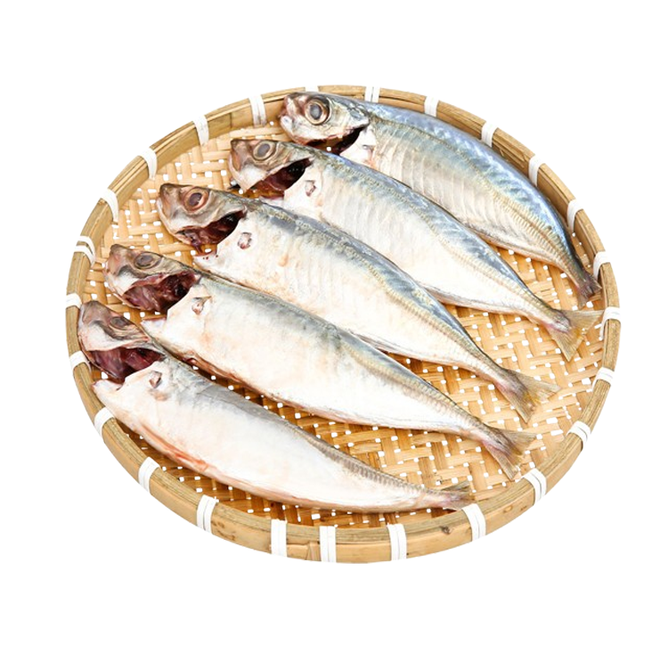 Cá nục làm sạch Size 4-6 con/kg