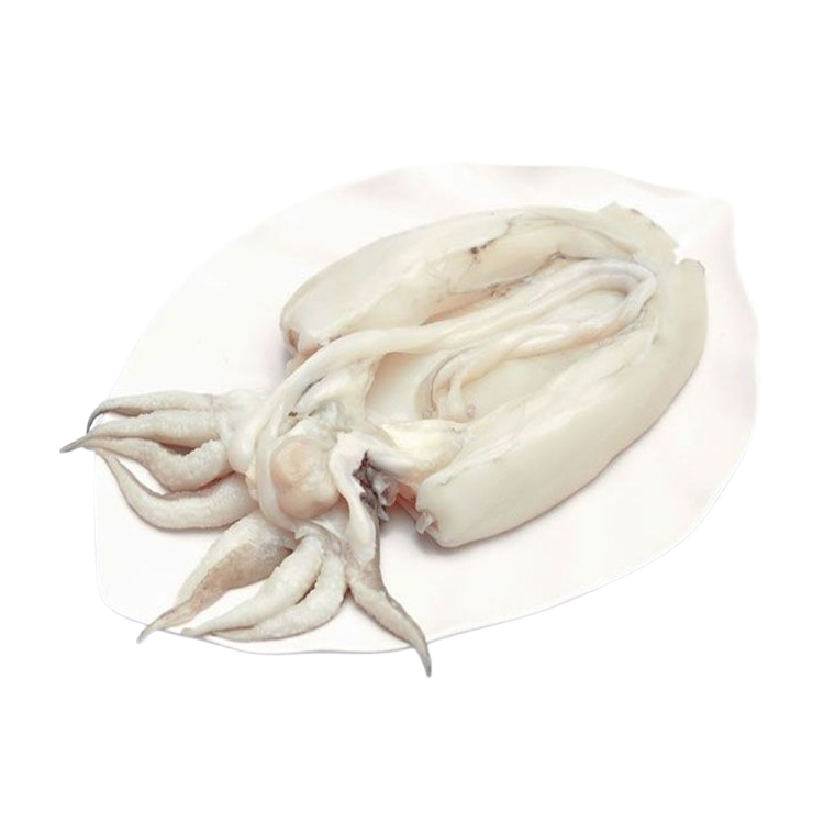 Mực nang tươi Size 8-10 con/kg