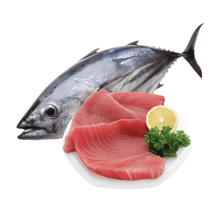 Cá ngừ tươi nguyên con Size 0,7-1 kg/con