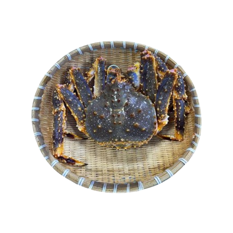 Cua hoàng đế sống Size 3-3,5 kg/con