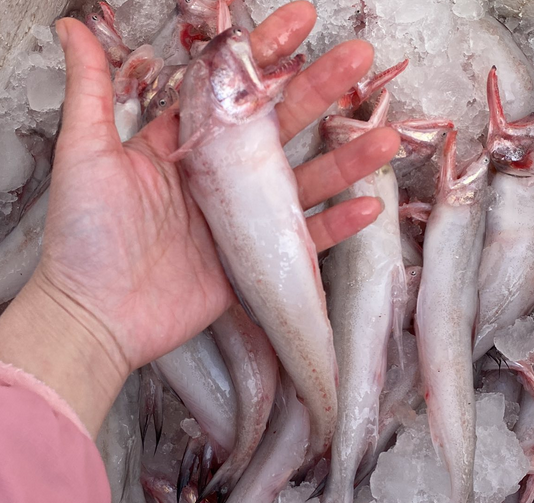 Cá khoai nấu gì ngon, nấu cháo bao ngon