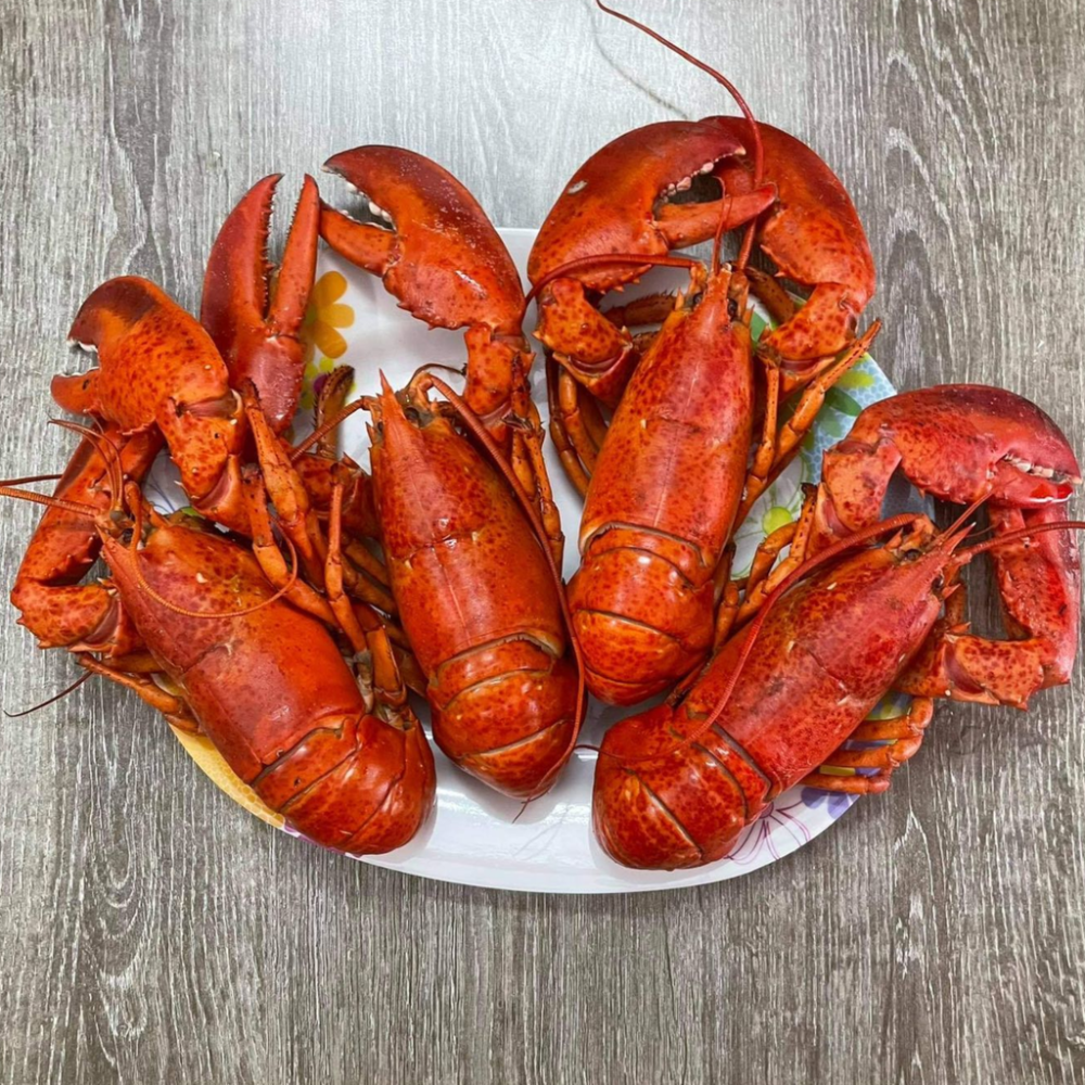 Tôm Hùm Alaska Nhỏ