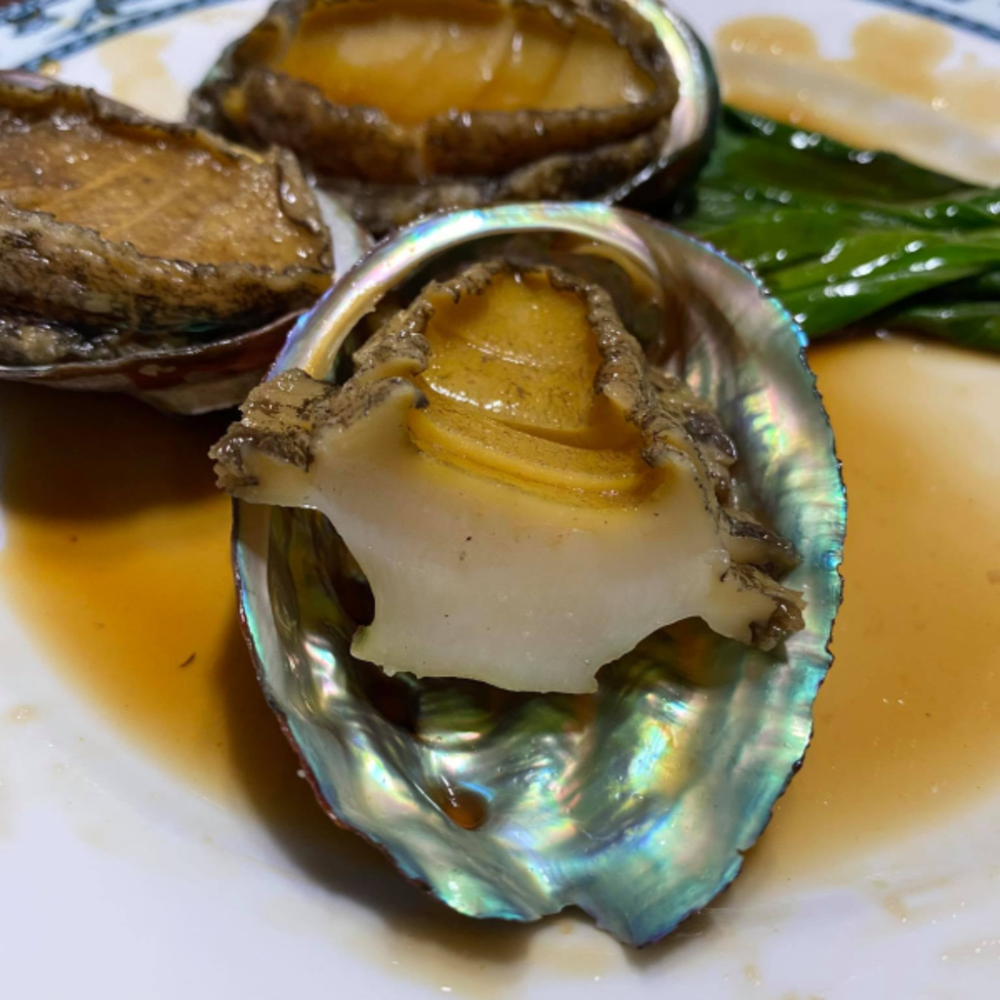 Bào Ngư Hàn Quốc Sống