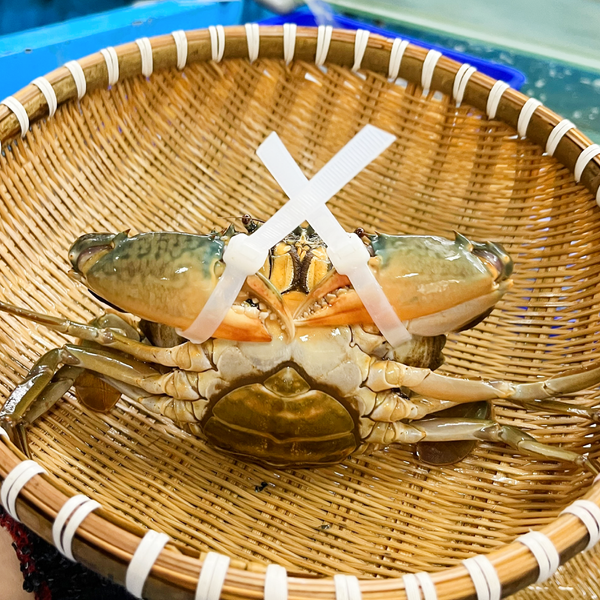 Cua Gạch Cà Mau Size 300 - 400g