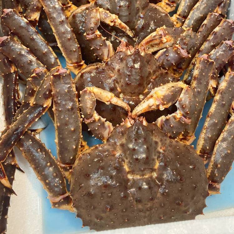Cua Hoàng Đế - King Crab Đỏ Sống