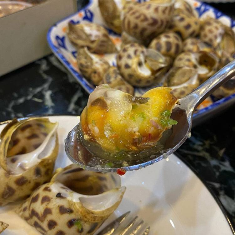 Ốc Hương Sống 100 - 110 con