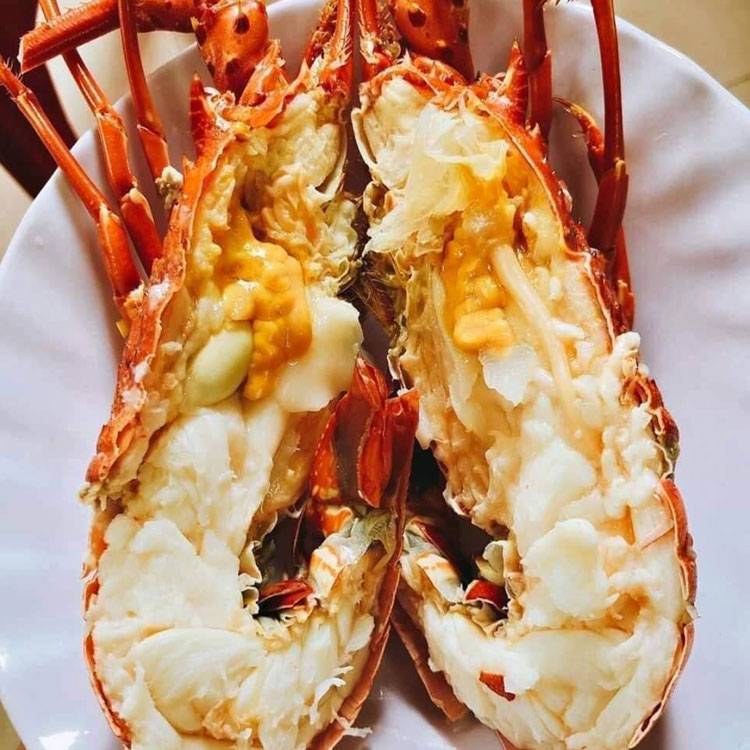 Tôm Hùm Bông Sống 500-700g/con