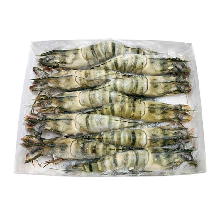 Tôm Sú Đông Lạnh