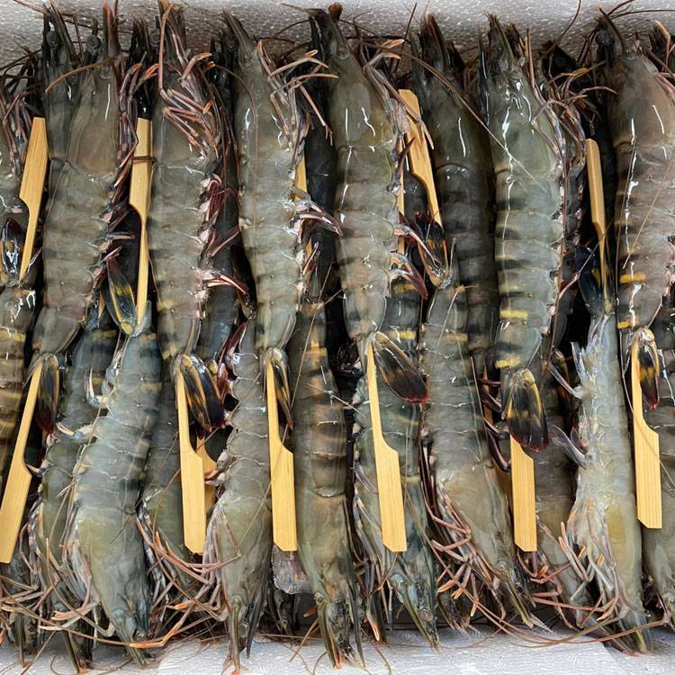 Tôm Sú Đông Lạnh