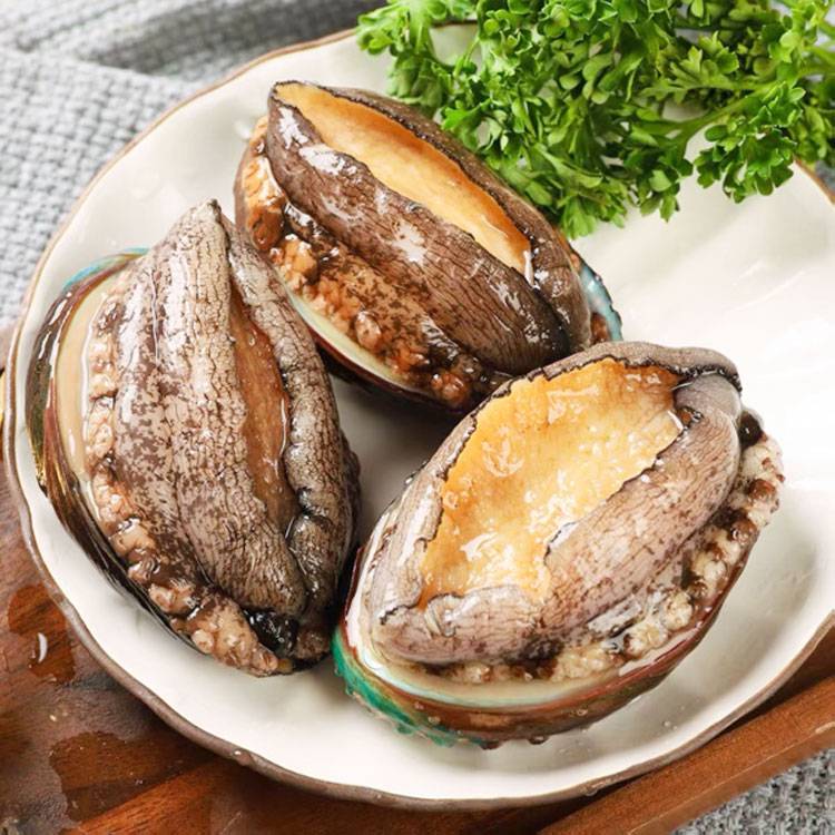 Bào Ngư Đông Lạnh Size 12