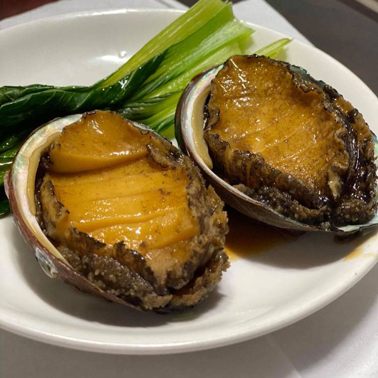 Bào Ngư Đông Lạnh Size 12