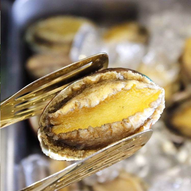 Bào Ngư Đông Lạnh Size 12