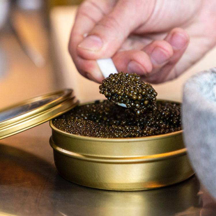 Trứng Cá Tầm Imperial Caviar