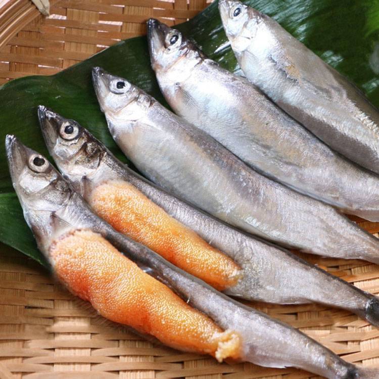 Cá Trứng Đông Lạnh