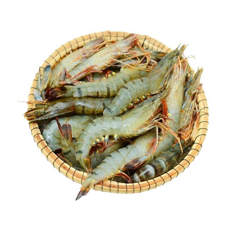 Tôm Sú Biển Size 8-10 Con