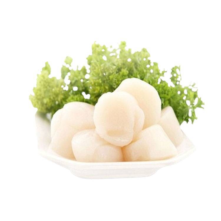 Cồi Sò Điệp Nhật