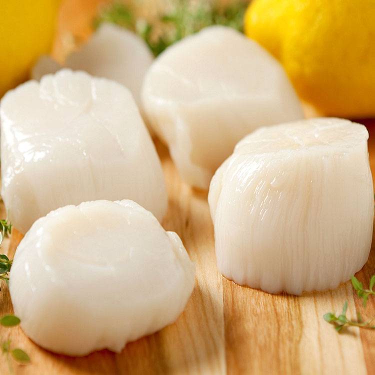 Cồi Sò Điệp Nhật