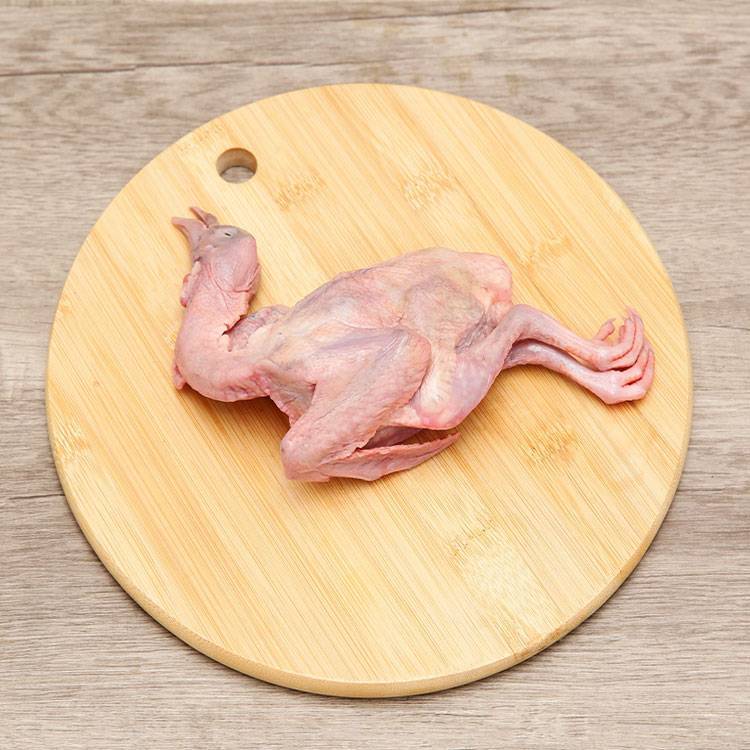 Chim Bồ Câu Thịt