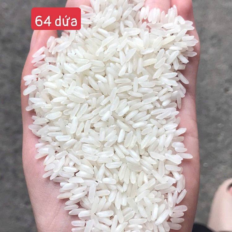 Gạo 64 thơm dứa