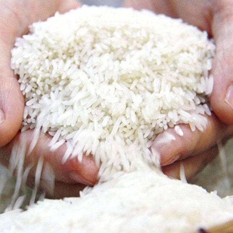 Gạo Thơm 49 Víp Đông Xuân