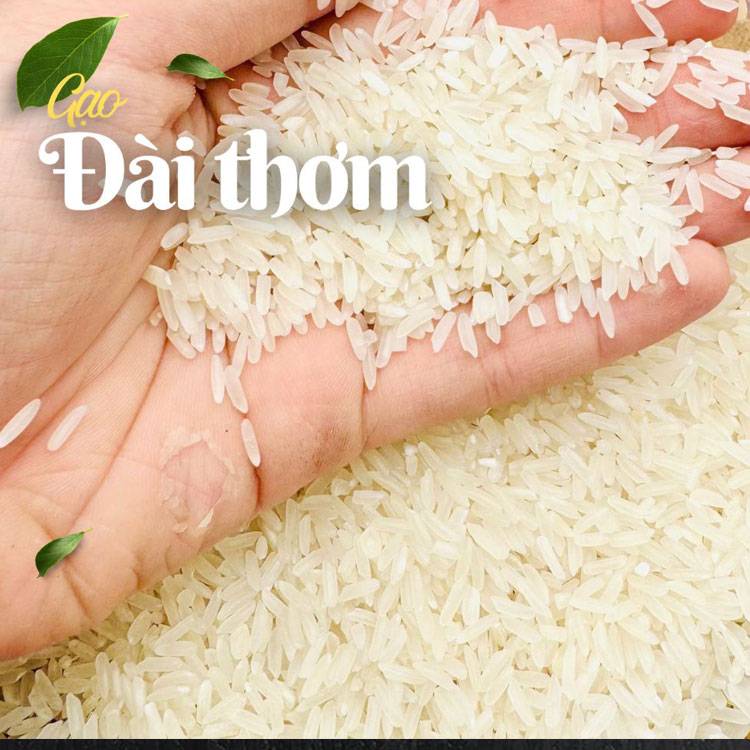 Gạo Đài Thơm