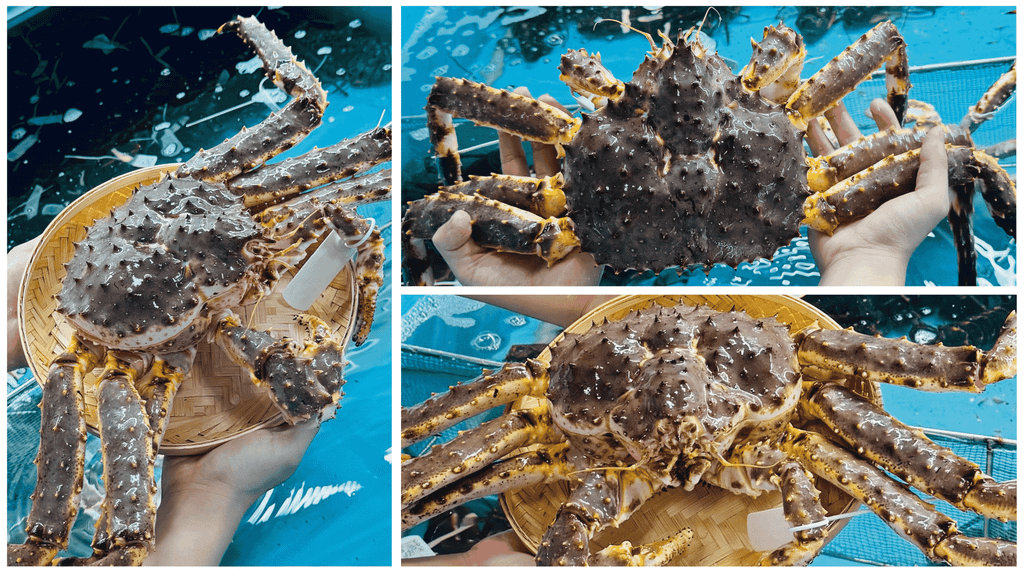 Hình ảnh sản phẩm