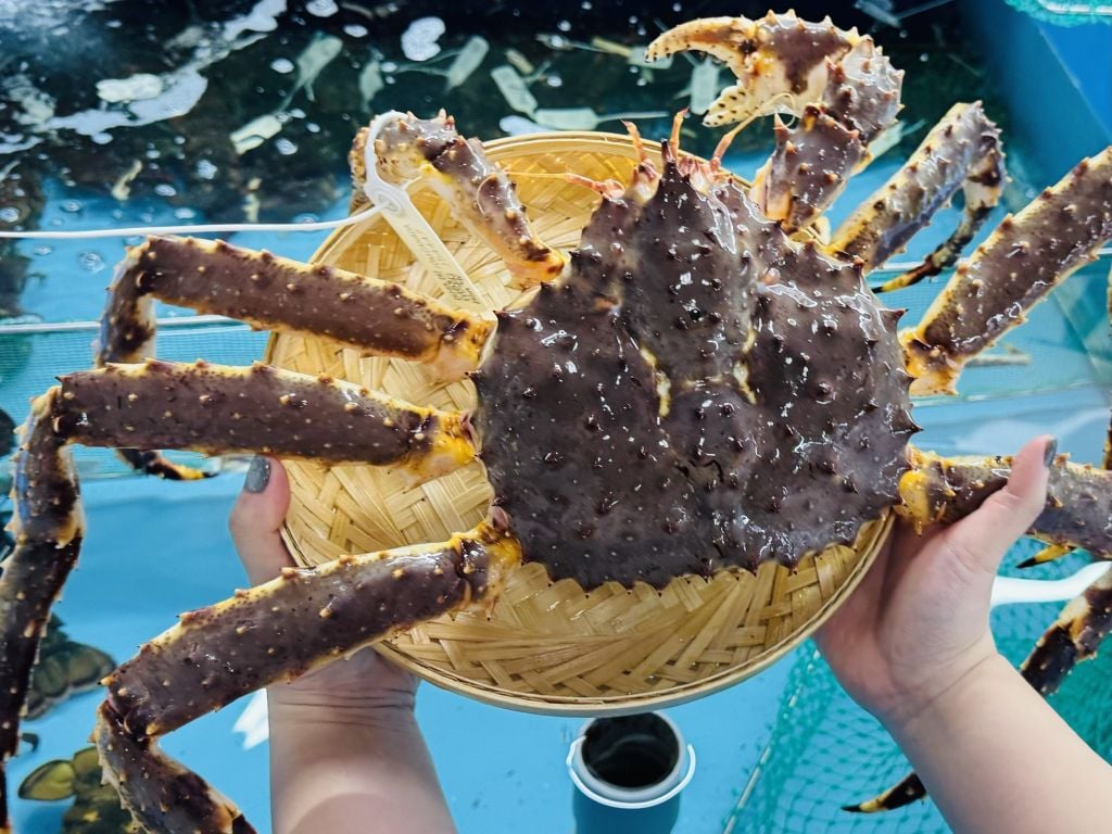 Hình ảnh sản phẩm