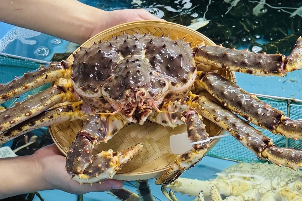 Hình ảnh sản phẩm