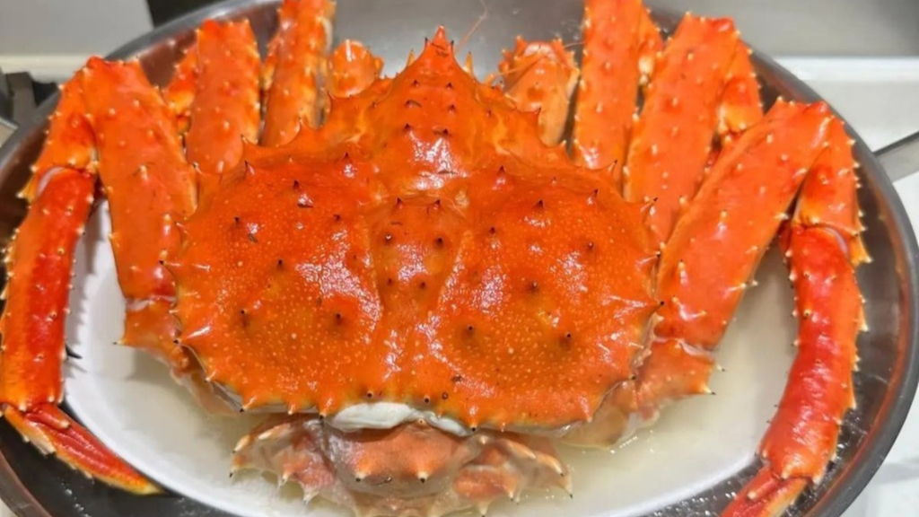 Hình ảnh sản phẩm