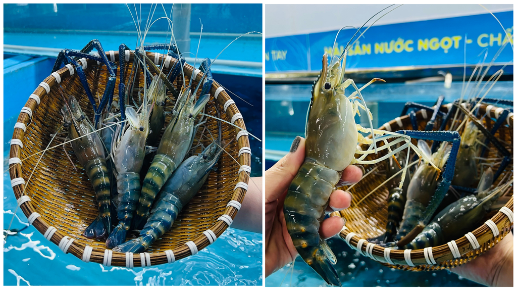 Hình ảnh sản phẩm