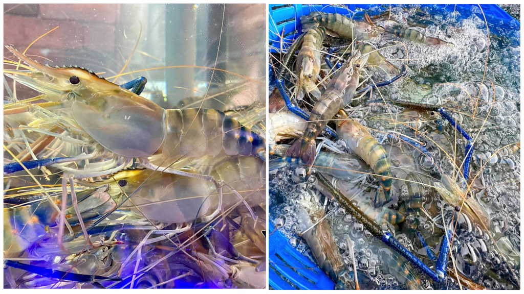 Hình ảnh sản phẩm