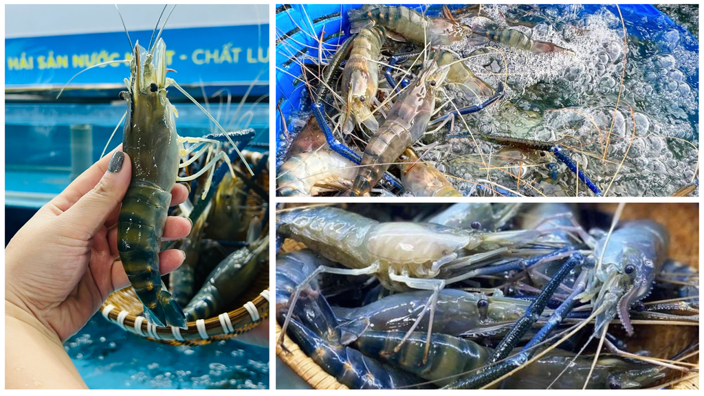 Hình ảnh sản phẩm