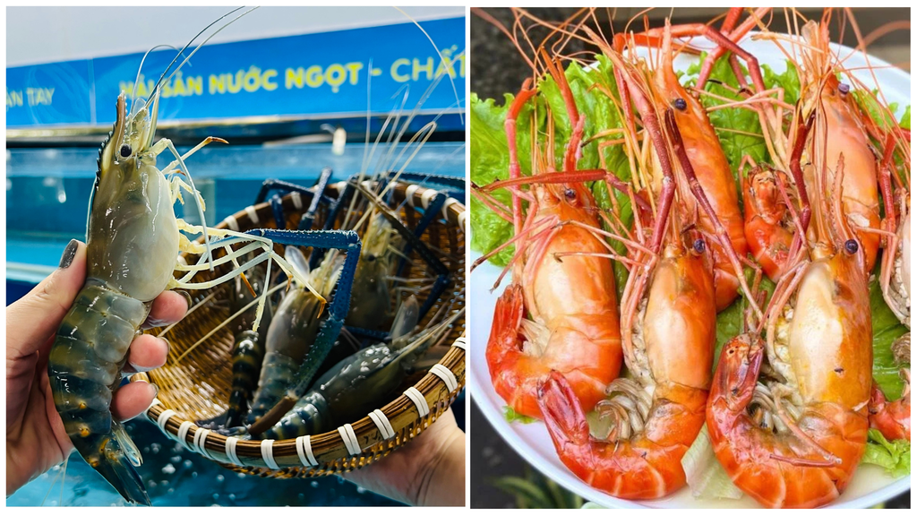 Hình ảnh sản phẩm