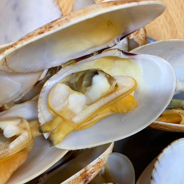 Hình ảnh sản phẩm Ngao-2-coi