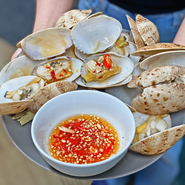 Hình ảnh sản phẩm Ngao-2-coi