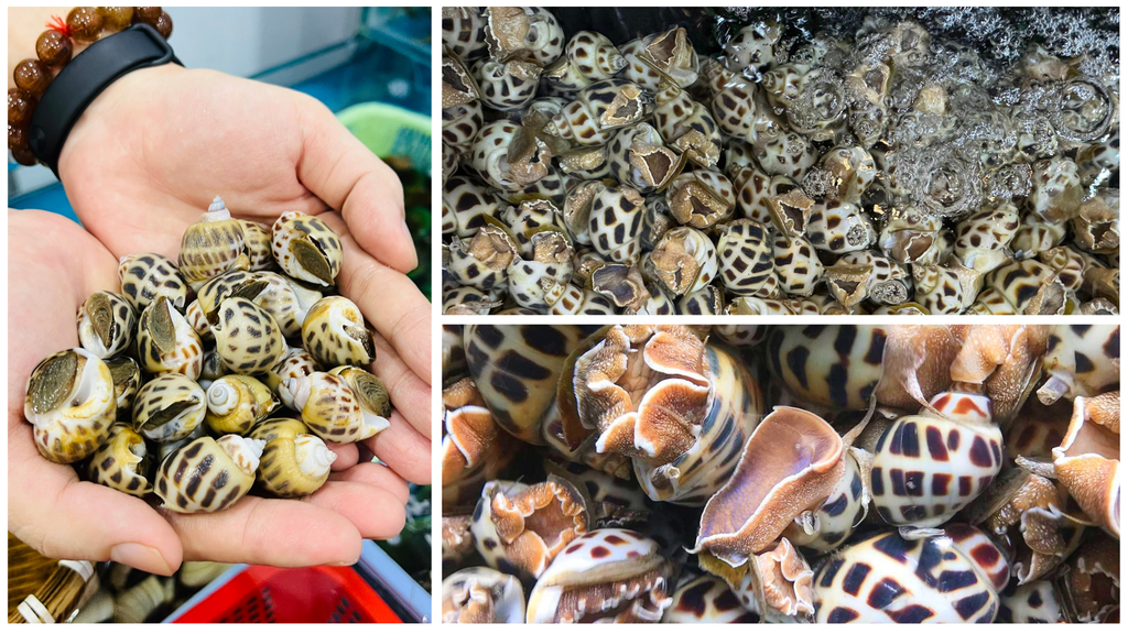 Hình ảnh sản phẩm