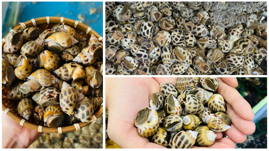 Hình ảnh sản phẩm