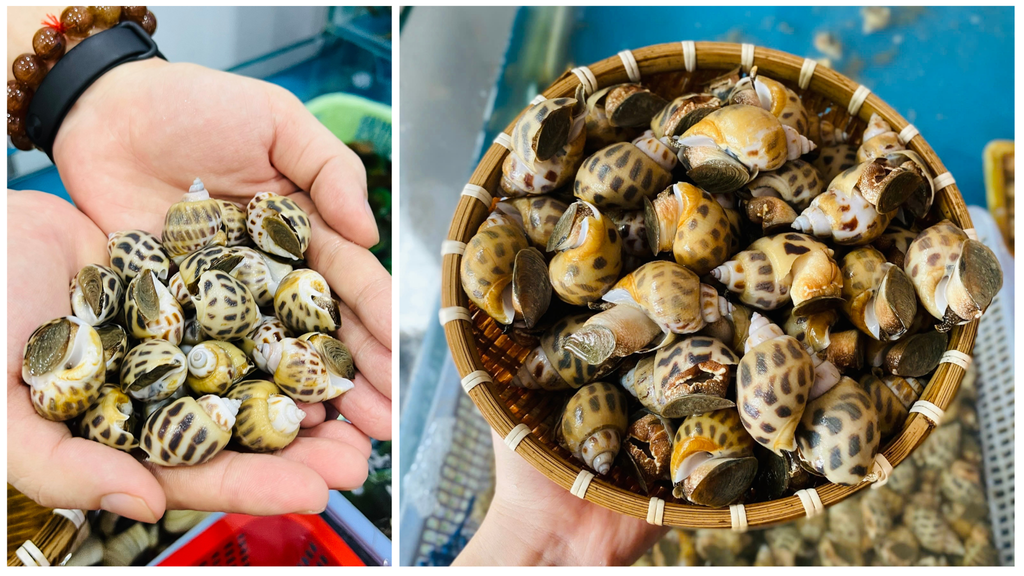 Hình ảnh sản phẩm