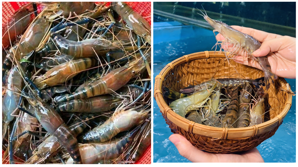 Hình ảnh sản phẩm