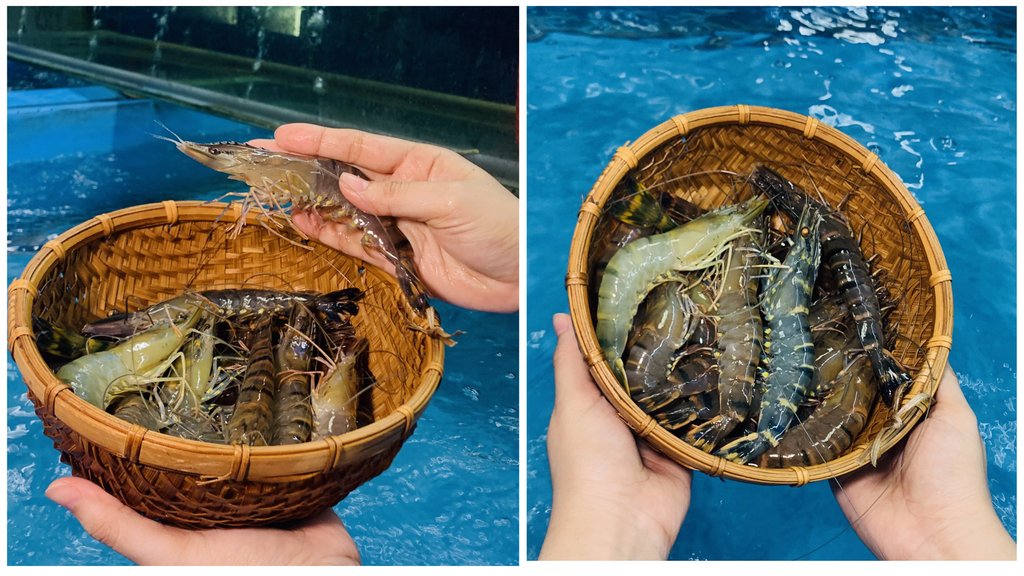 Hình ảnh sản phẩm