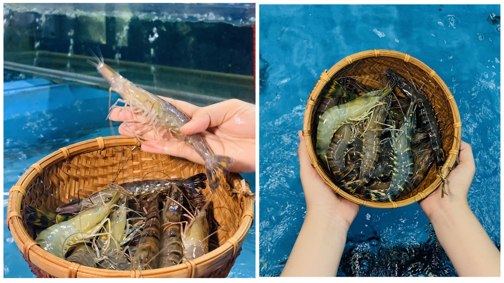 Hình ảnh sản phẩm