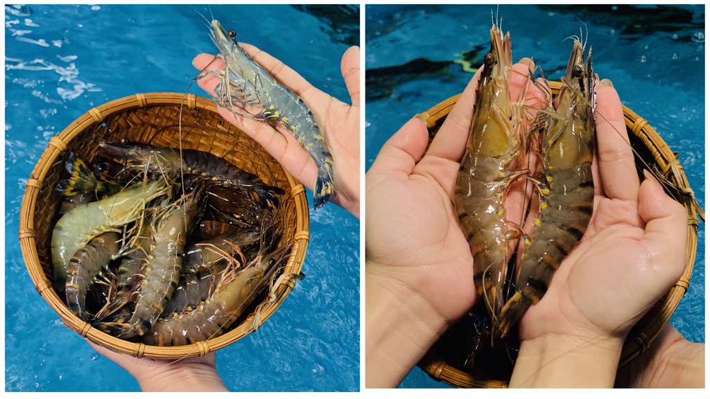 Hình ảnh sản phẩm