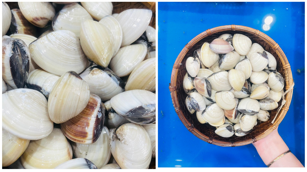 Hình ảnh sản phẩm