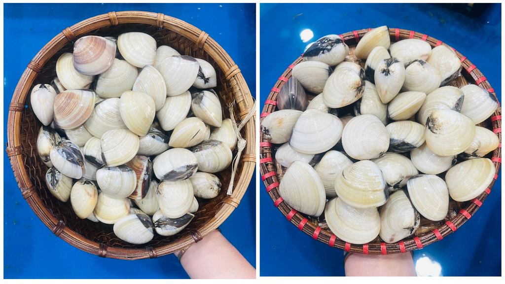 Hình ảnh sản phẩm